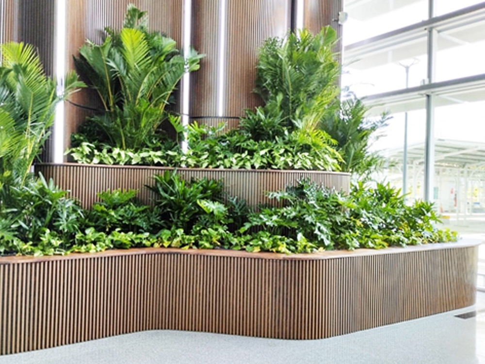 Planter Box decoration